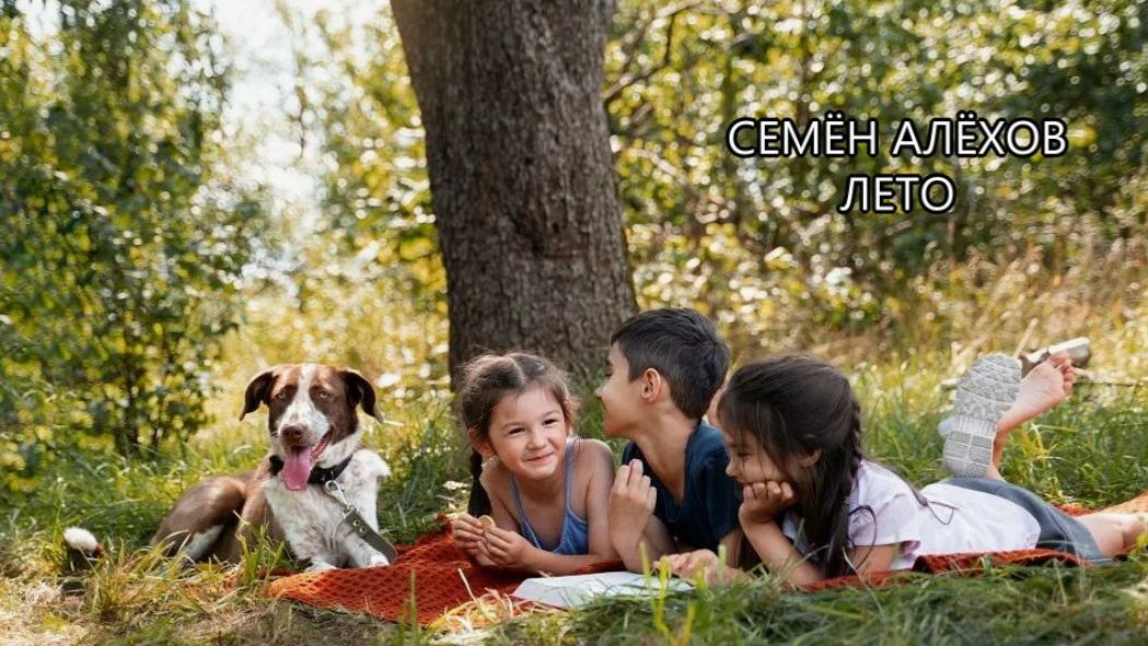 СТИХИ