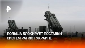 В Польше призвали оставить Зеленского без Patriot за ритуалы с прахом нацистов