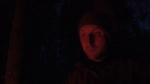 ВОЛК ПРИШЕЛ НОЧЬЮ, НАЙДА В ОПАСНОСТИ, КАК МЕДВЕДЬ ПЫТАЛСЯ ПРОГНАТЬ СО СВОЕЙ ТЕРРИТОРИИ.