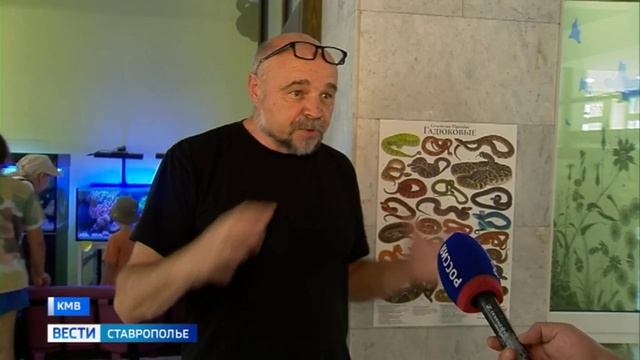 Как вести себя при встрече со змеей