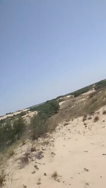 Волгоградские барханы
