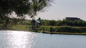 поимка осетра