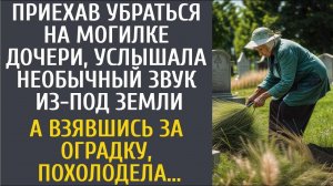 Приехав убраться на могилке дочери, услышала необычный звук из под земли… А взявшись за оградку…
