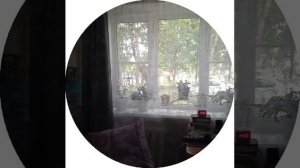 15-08-2026  добрый день суббота