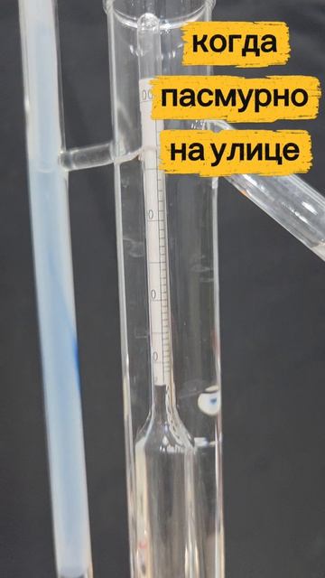 Химичу #грушевыйбрэнди