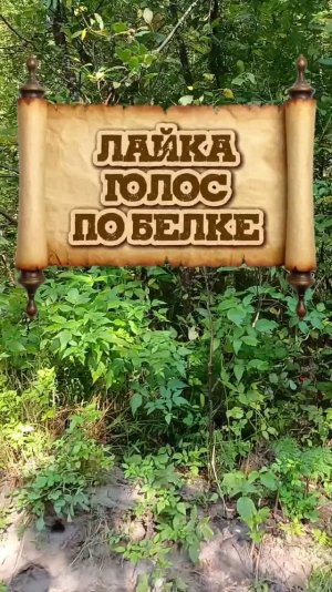 Лайка голос по белке 👀👍