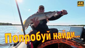 Garmin Panoptix против щуки: озеро Блюдце, попытка №2
