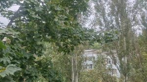 ДОБРОЕ УТРО ДРУЗЬЯ🤗🥰💋💕У НАС ПОХОЛОДАЛО👋🙏💥