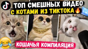 ТОП смешных видео с котами из ТикТока 🔥 | Кошачья компиляция