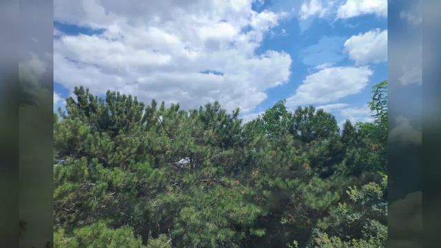 Красивые виды природы