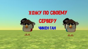 хожу по своему серверу чикен гана