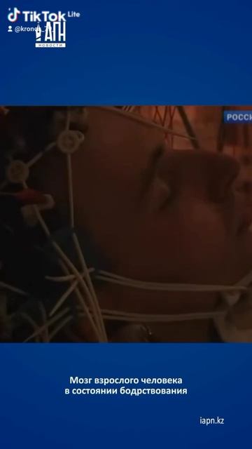 Мозг человека во время молитвы