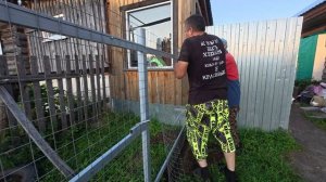 Поменяли забор в палисаднике