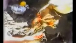 12.03.1983 г.  Пуджа морю. Мельбурн. Австралия. Без перевода. 1:04:15
