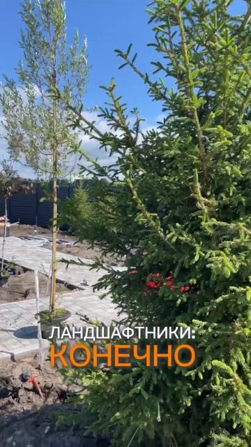 От идеи до реализации: как мы создаем красивые сады