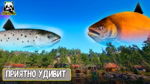 Рыбачь всегда по своему — и клёв приятно удивит #рр4