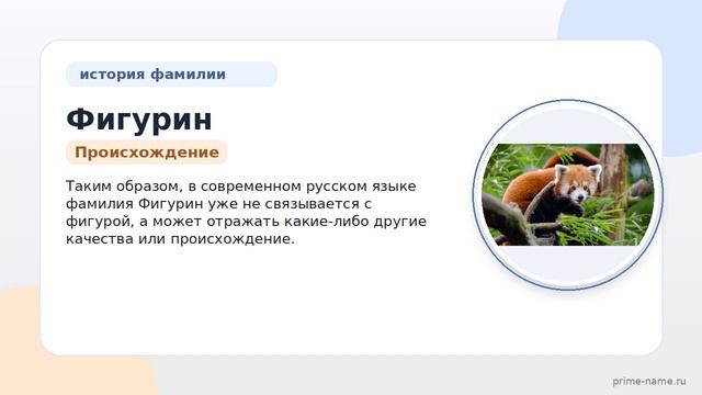Фамилия Фигурин: происхождение, значение и склонение