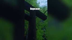 ЛУЧШАЯ СМЕШНАЯ ПОДБОРКА ПРИКОЛОВ