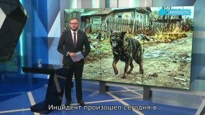 ПОЛНОЕ ПРОЦВЕТАНИЕ «СУПЕРРЕСПУБЛИКИ»