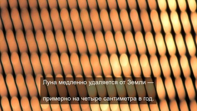 Образовательные цели