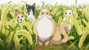 Neko to Ryuu: Opening