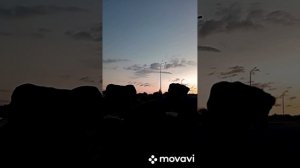 УТРО, ВСТРЕЧА, КОРМЛЕНИЕ МАЛЫШЕЙ❤❤❤
