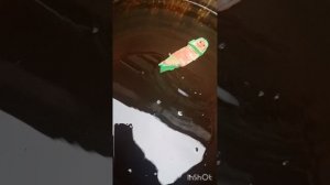 небольшой танкер затопление
