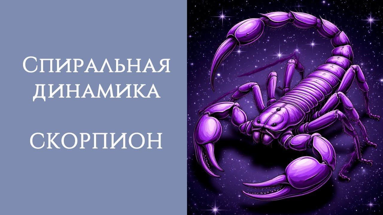 СПИРАЛЬНАЯ ДИНАМИКА: СКОРПИОН