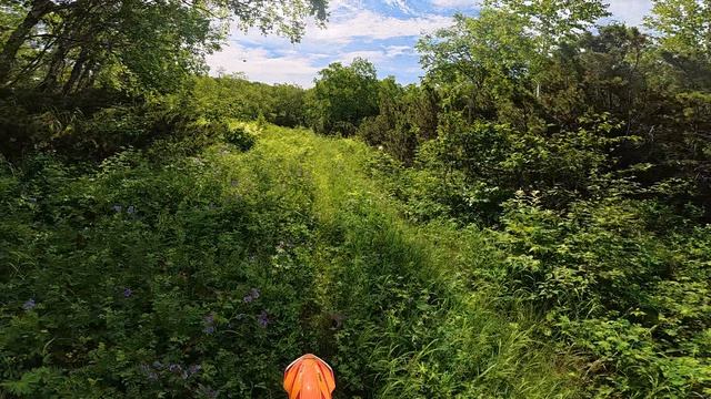 DJI_20260719103104_0006_D