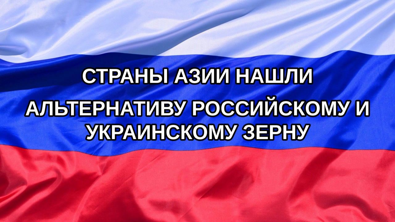 |Н. РФ| Страны Азии нашли альтернативу российскому и украинскому зерну