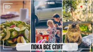 Пока все спят | Прибираю чердак | Я могу себе это позволить - ВЛОГ №4034 - 14.08.26