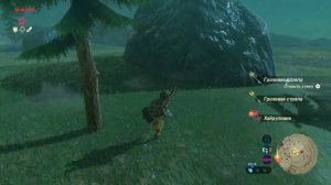 THE LEGEND OF ZELDA. BREATH OF THE WILD.   10. БОЙ С ЧУДОВИЩЕМ ВАН РУТОЙ.