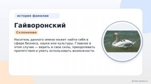Фамилия Гайворонский: происхождение, значение и склонение