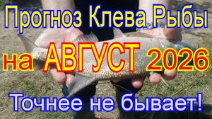 Календарь клева рыбы на август 2026 Лучший летний месяц для рыбалки Прогноз клева рыбы время ловить