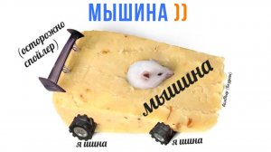 МЫШИНА ))) Приколы | Мемозг 1782