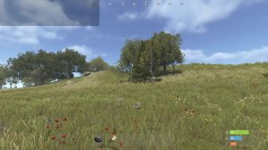 RUST
