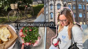 обычный день// корица и четверг // влог