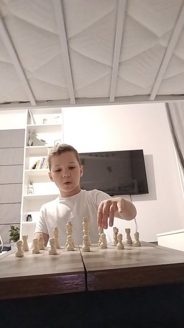 шахматы