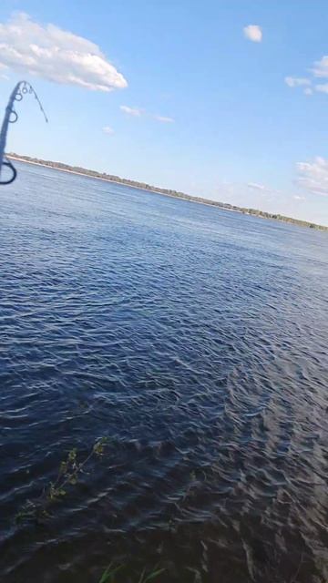 #рыбалка подпишитесь пожалуйста 🙏