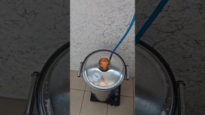 Копченая скумбрия дома