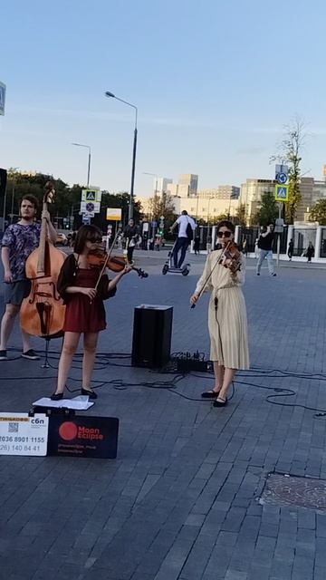 Музыканты у м. Динамо