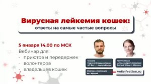 Вебинар вирусная лейкемия кошек (вирусный лейкоз кошек)
