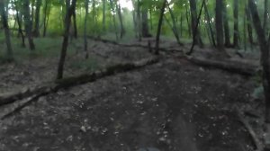 83