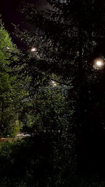 Летний ночной дождь ☔️