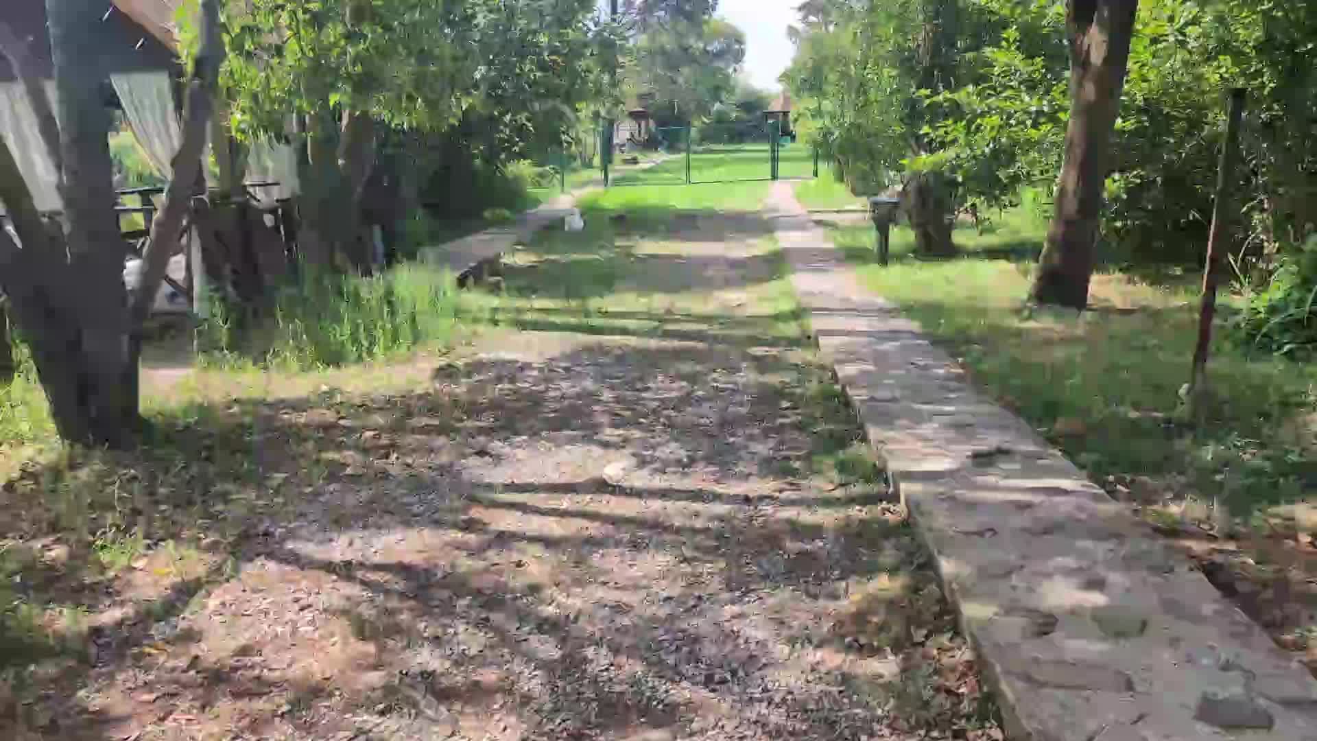 Лазаревское 13.08.2026 Пастернак | ресторан
