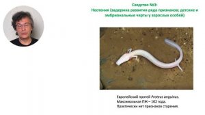 Часть 3 Эволюция старения и долголетия, или Почему люди стареют?