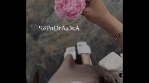 Цыганская песня 🍃