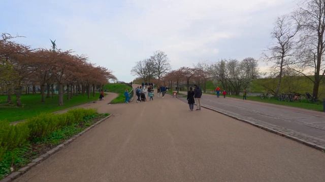 Копенгаген глазами местных 😍 Самая атмосферная прогулка