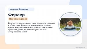 Фамилия Ферлер: происхождение, значение и склонение