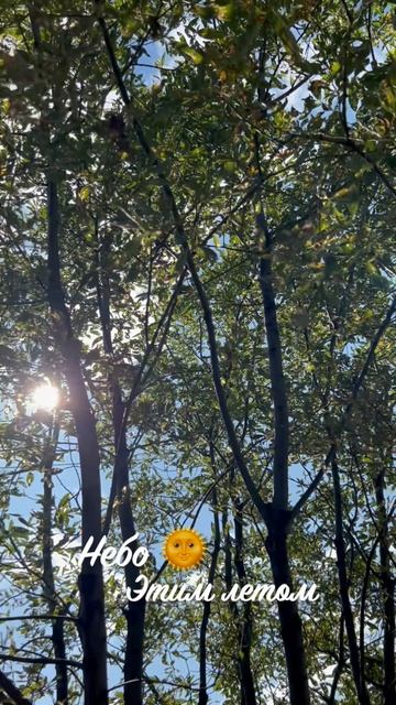 💕🌞Любимая улочка летом🍀💕